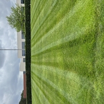 Grass cutting