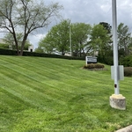 Mowing
