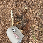 Destroyed Mailbox