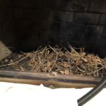 Chimney Sweep