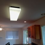 Light Fixture Ceiling Fans