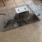 Wild Life Trapping