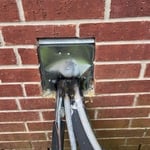 Rodent Exclusion Service