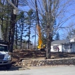 Tree Removal