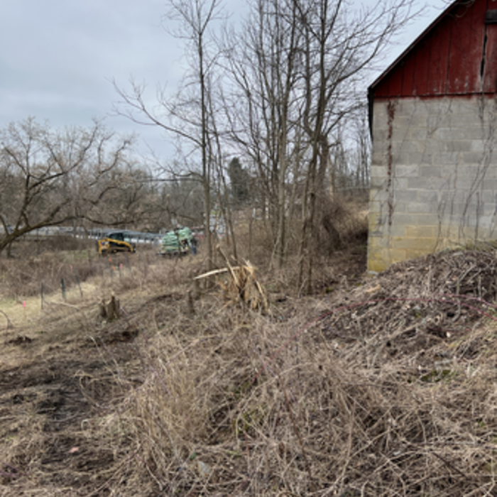 clearing for house foundation