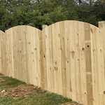 Cedar Fence
