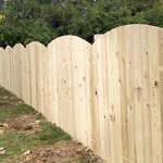 Cedar Fence