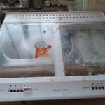 before fridge