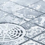 Drain the Drain with Joe!
