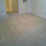 Carpet Cleaning