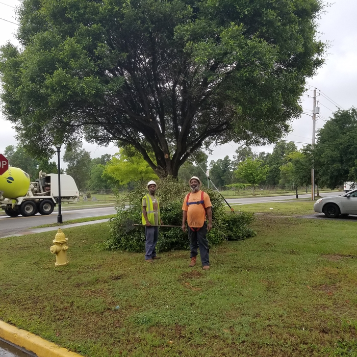 Pruning Project 1
