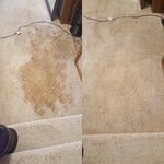 Carpet Cleaning