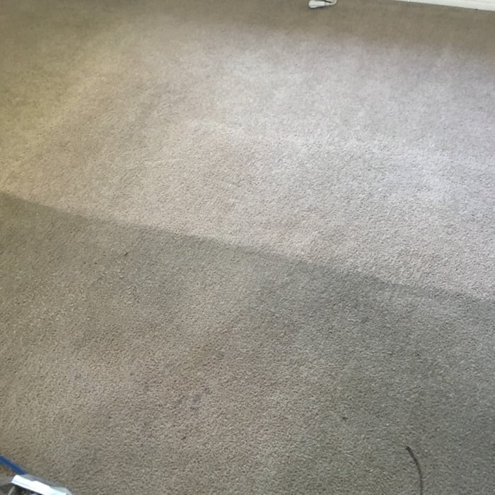 Bedroom Carpet Cleaning