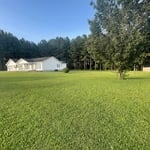 Lawn Maintenance