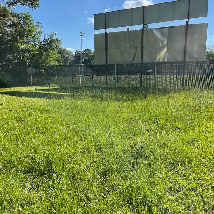 Lawn Maintenance