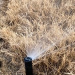 Checking spray