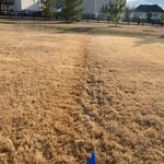 Sod after sprinkler installation