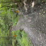 Culvert crossing washout