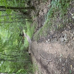 Culvert crossing washout