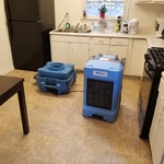 Water Damage and Mold Removal