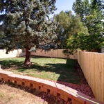 Privacy Fence