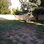 Privacy Fence