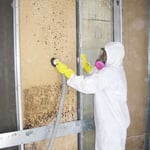 HEPA Vac Spores