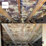 Attic Remediation