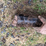 Collapsed and Clogged Pipe!