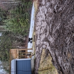 All Backfilled. Clean up the top when it dries out