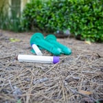 Residential Pest Control