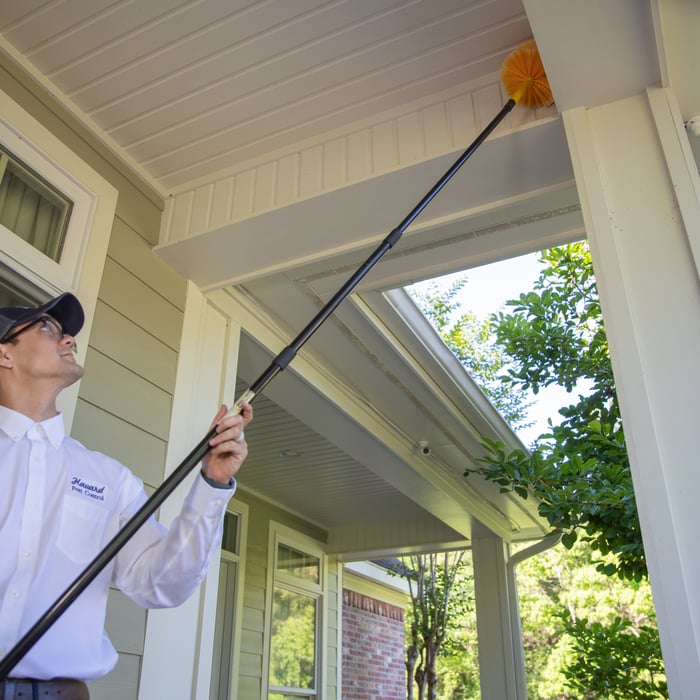 Residential Pest Control
