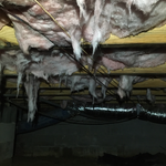 Insulation trapping moisture