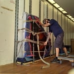 Recent photos