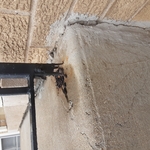 Before repair