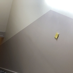 Paint