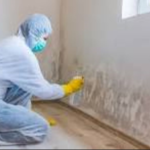 Mold