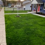 Lawn 1