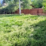 Lawn 2 - Before