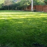 Lawn 2 - After