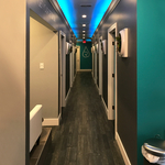 Salon Painting