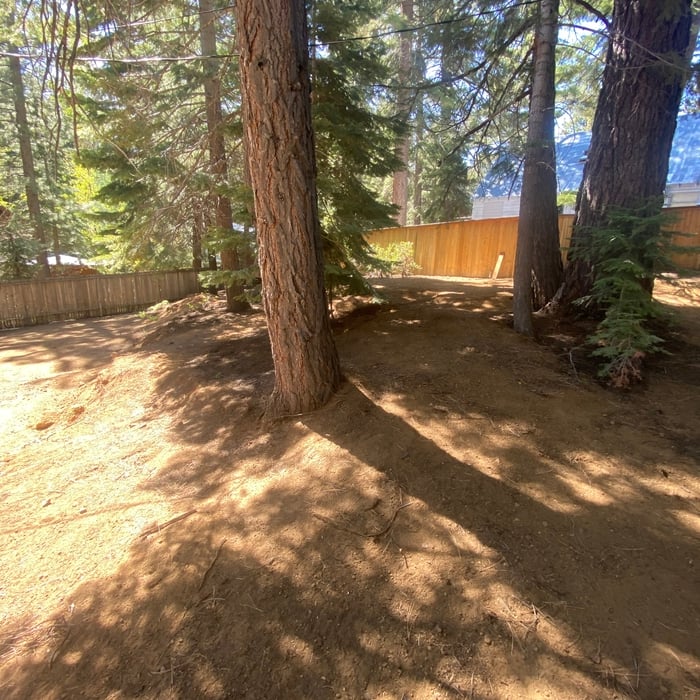 Yard clean up