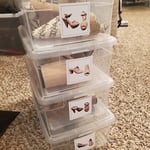 Labeled Clear Shoe Boxes