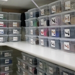 Shoe Closet