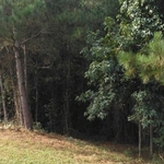 New Residential driveway