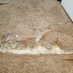 Carpet Repair Dec 2020