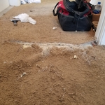 Carpet Repair Dec 2020