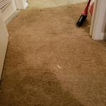 Carpet Repair Dec 2020