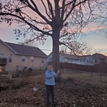 Rizco Tree Care
