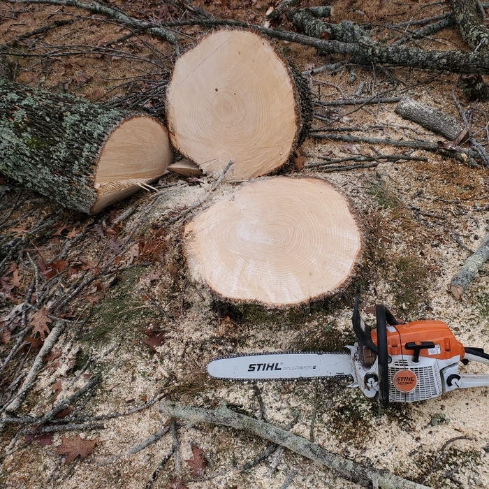 Rtizco Tree Care